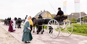Fries Landbouwmuseum viert 100-jarig jubileum Het Fries Landbouwmuseum werd op 16 mei officieel heropend met een lange tocht van Friese paarden. Foto: Fries Landbouwmuseum