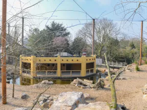 Sta midden tussen de gieren en vogels in de gierenvallei. Foto: AviFauna