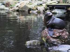 AquaZoo Leeuwarden Foto: DagjeWeg.NL.