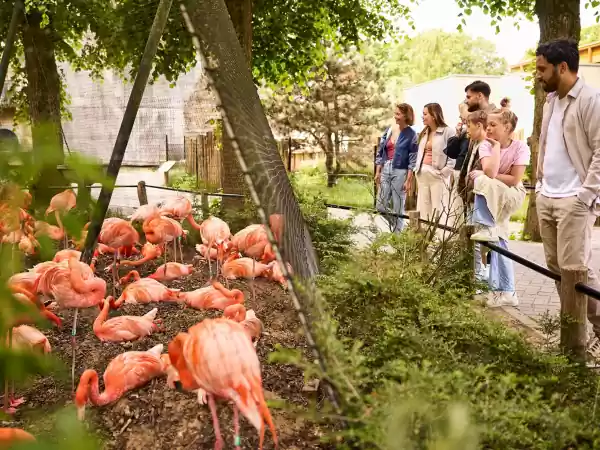 Foto: Ouwehands Dierenpark © Foto: Ouwehands Dierenpark ©