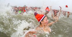 Eerste dagje uit in 2020? Een nieuwjaarsduik natuurlijk!