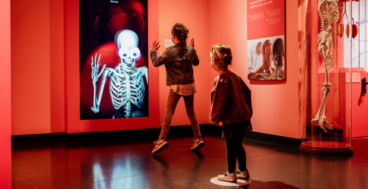 In Discovery Museum staat alles in het teken van ontdekken. Foto: Discovery Museum