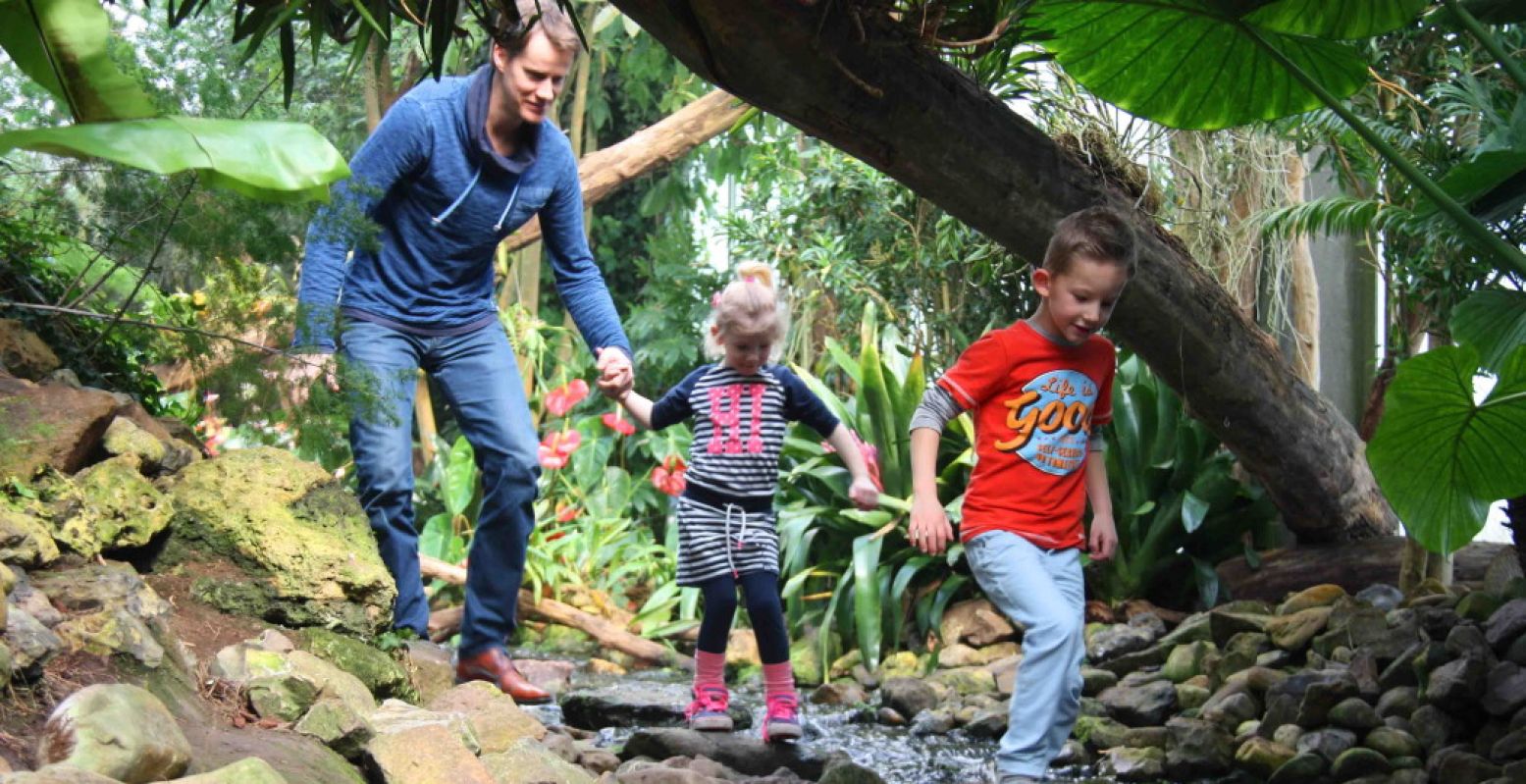 Wist je dat je bij de Orchideeën Hoeve tropische vissen kunt voeren? Leuk om kinderen kennis te laten maken met vissen. Foto: De Orchideeën Hoeve.