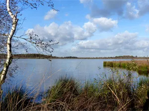 Nationaal Park De Grote Peel - Bezoekerscentrum De Pelen