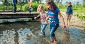 Zomers genieten in Almere