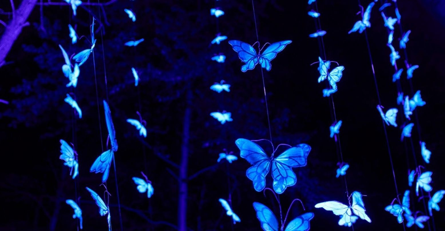 Uit scheuren in de aarde vliegen vlinders als symbool van de natuurkrachten. Foto: Lumen In Art © Claus Langer