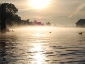 Foto: Nationaal Park De Biesbosch.