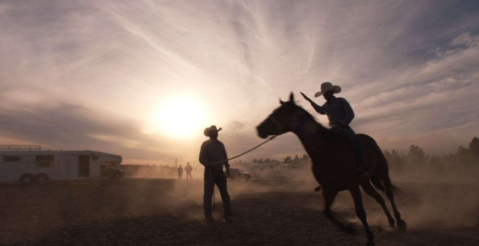 Crowley, Cowboy Up. Een intiem portret over liefde, rouw en veerkracht, gezien door de ogen van een veertienjarige cowboy. Foto: © IDFA 2018