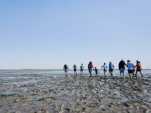 Wadlopen naar Rottumeroog Foto: Groningen Marketing © Marleen Annema