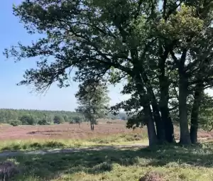 Foto geüpload door gebruiker Geldersch Landschap en Kasteelen Foto geüpload door gebruiker Geldersch Landschap en Kasteelen