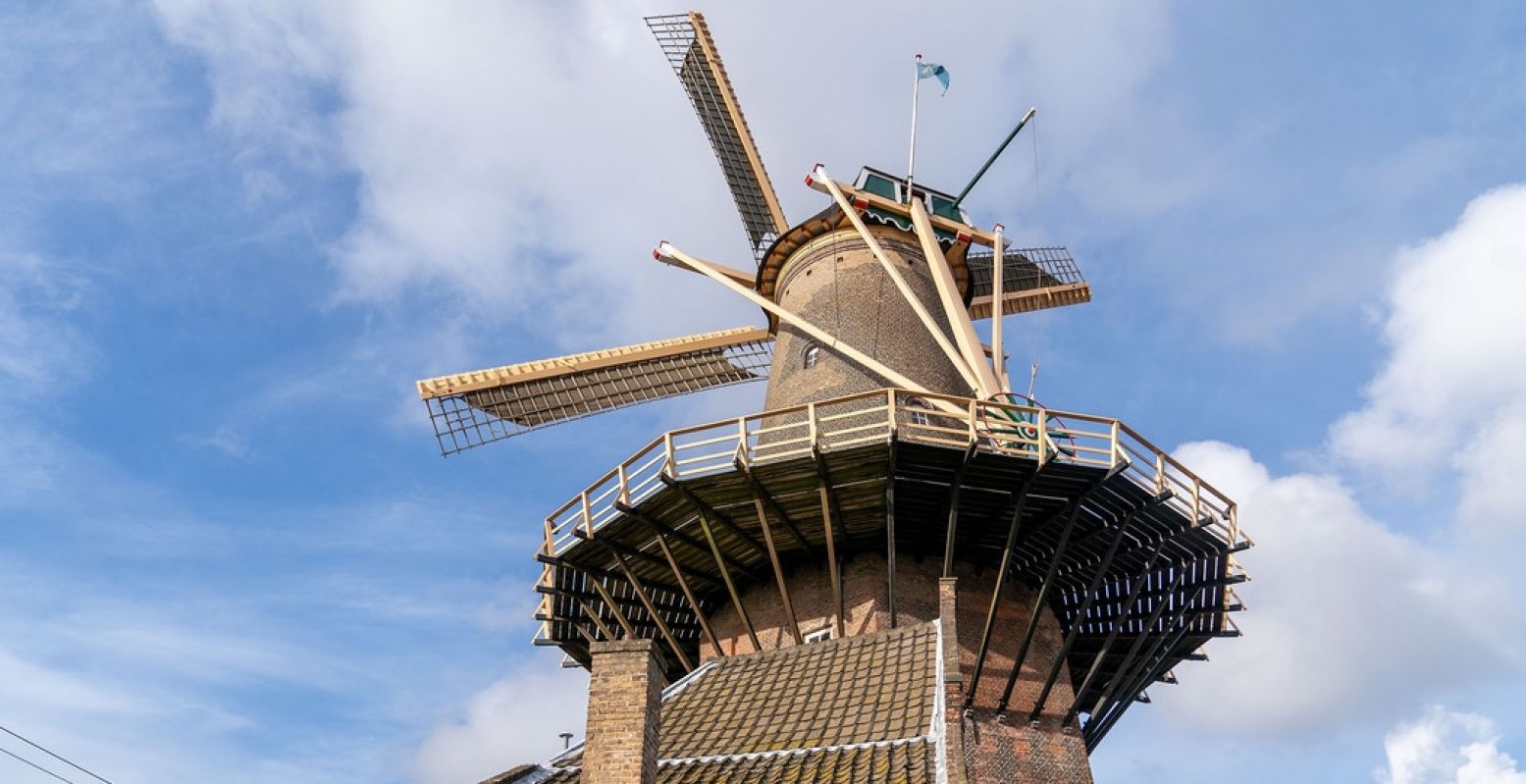 Molen de Roos. Foto: Delft.com © Michael Kooren