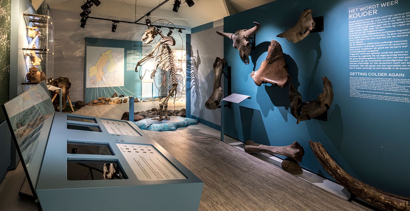 Volg een online rondleiding door Museum Schokland met museumgids Johannes ten Have, onder andere langs het skelet van de holenbeer. Ook kunstenaar Paul Dikker geeft een digitale rondleiding. Foto: Museum Schokland