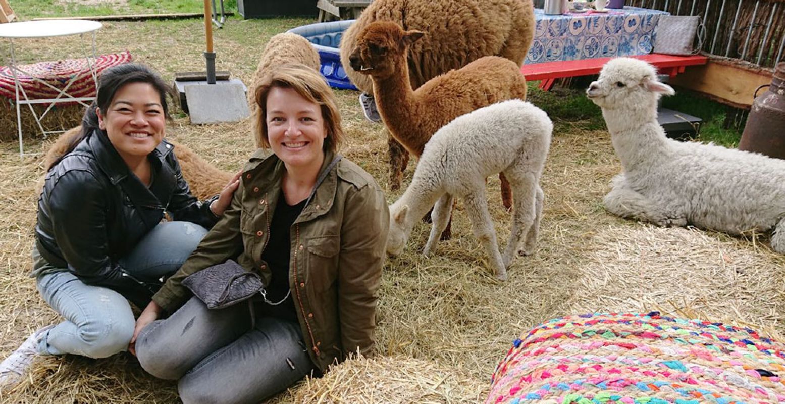 Een onvergetelijke ervaring: theeleuten tussen de alpaca's. Foto: DagjeWeg.NL.