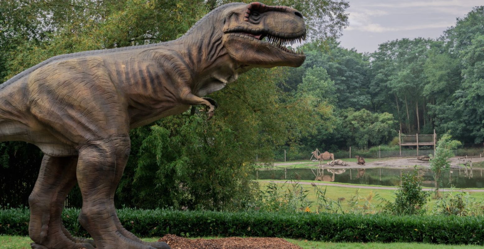 Rawr! Het zijn de Dino Weken in ZooParc Overloon. Foto: ZooParc Overloon.