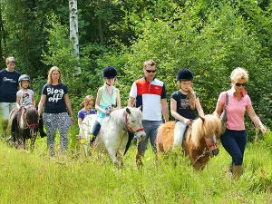 Voor ieder kind een Shetlandpony. Foto: PonyparkCity