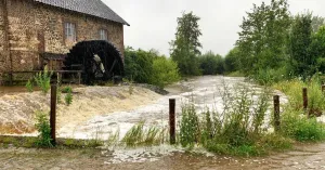 Klimaatwandelen met de boswachter Klimaatwandelen met de boswachterFoto geüpload door gebruiker Natuurmonumenten.