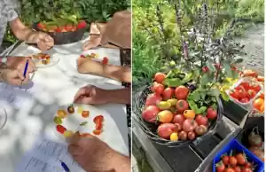 Open Tuin Dag en Tomatenproeverij Foto: Velt Leudal