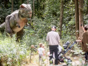 Zomervakantietip: de DinoFabriek