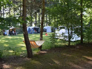 Camping Het Horstmannsbos Vakantie vieren op Camping het Horstmannsbos. Foto: Anouk Siemerink