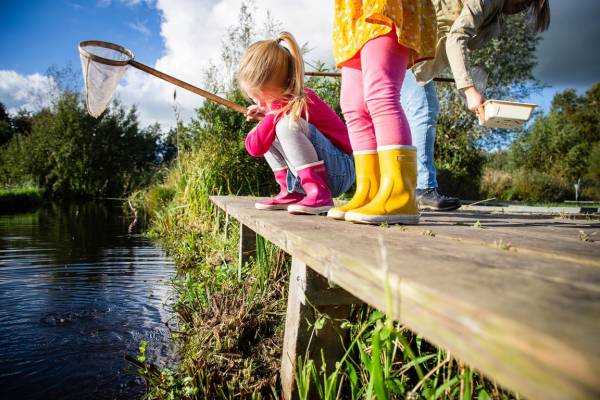 Wat zwemt daar? waterdiertjes vangen in Kardinge Wat zwemt daar? waterdiertjes vangen in Kardinge | Foto ge&uuml;pload door gebruiker Natuurmonumenten.