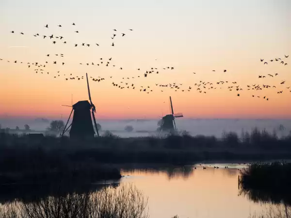 Ook prachtig in de vroege morgen. Foto: © Stichting Werelderfgoed Kinderdijk