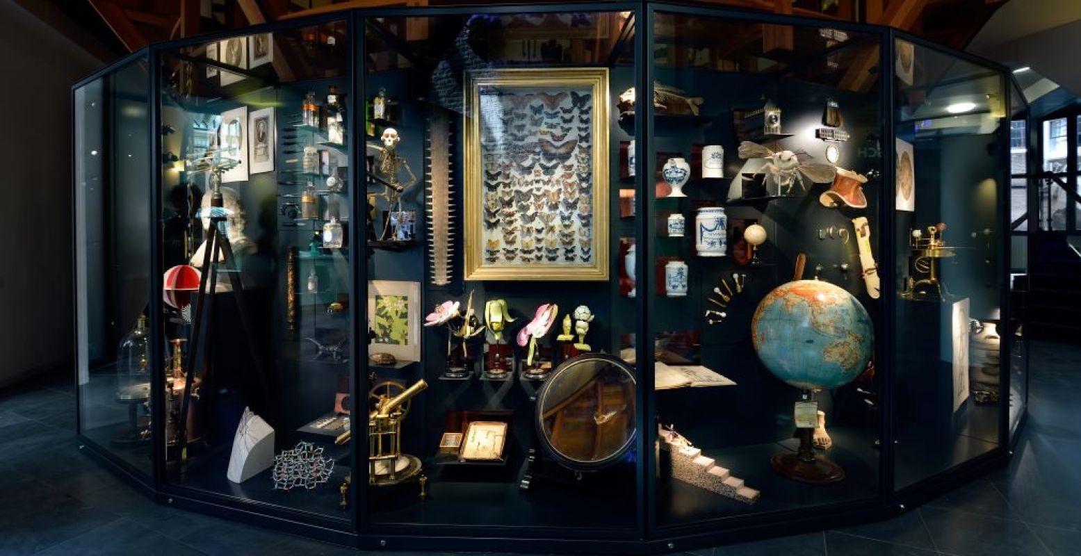 Rijksmuseum Boerhaave heeft een rariteitenkabinet vol 'vreemde' voorwerpen. Foto: Rijksmuseum Boerhaave