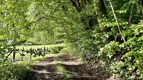 Bosrand in het Vijlenerbos | Foto ge&uuml;pload door gebruiker Staatsbosbeheer.