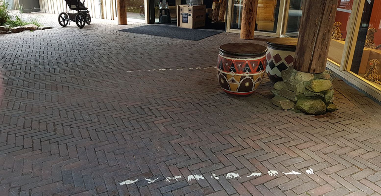 De wachtlijnen bij de winkel in Burgers' Zoo. Je mag alleen naar binnen met een mandje, zo kan het niet te druk worden. Foto: DagjeWeg.NL