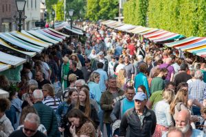 Rommelmarkt Ameide 2024, foto: CvdP