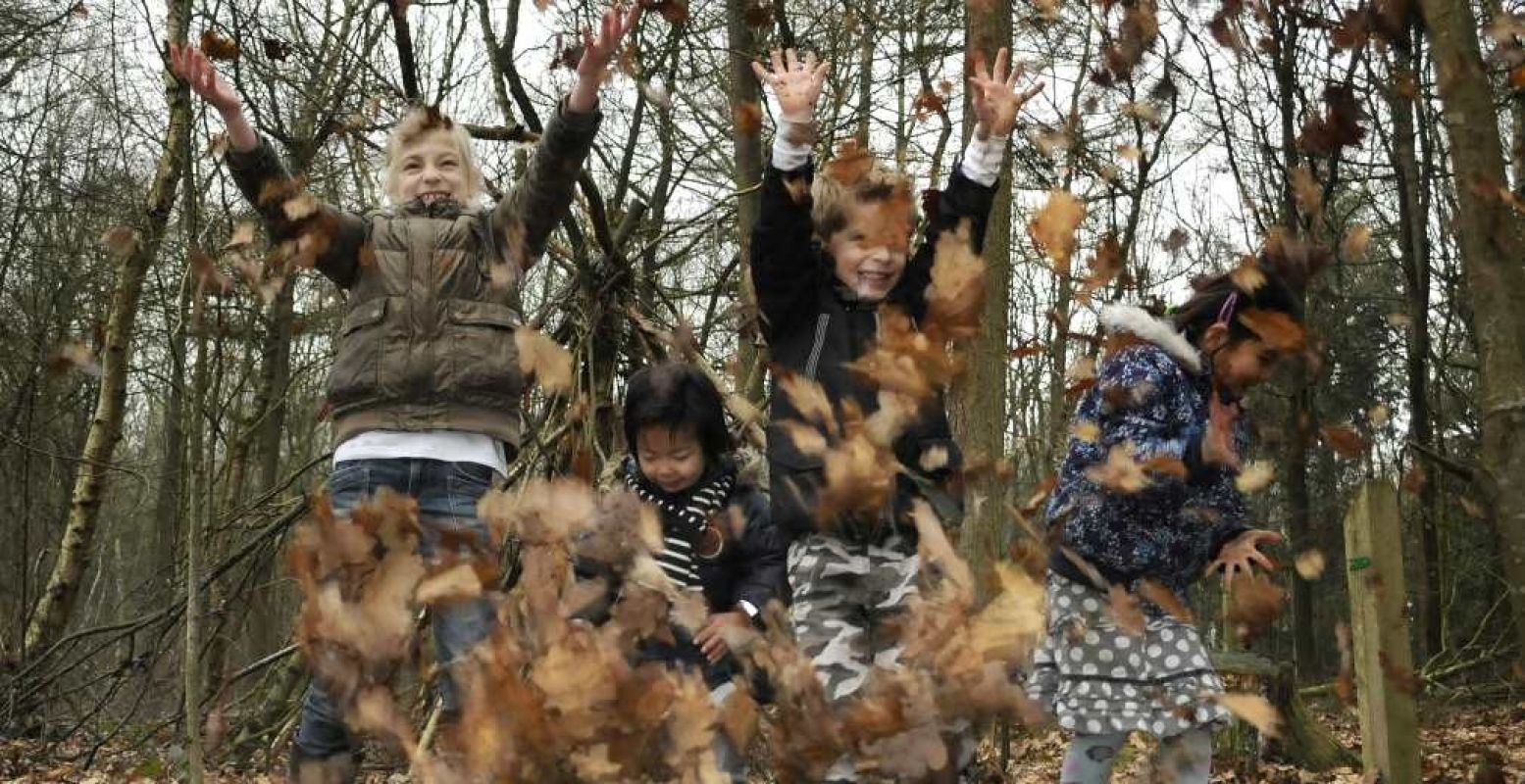 Gezinsnatuurdag in Dwingelderveld. Foto: Natuurmonumenten - Rob Doolaard