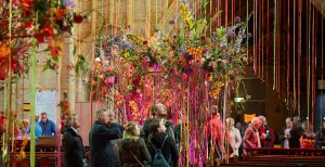 Haarlem 8 weken lang dé bloemenstad van Nederland!