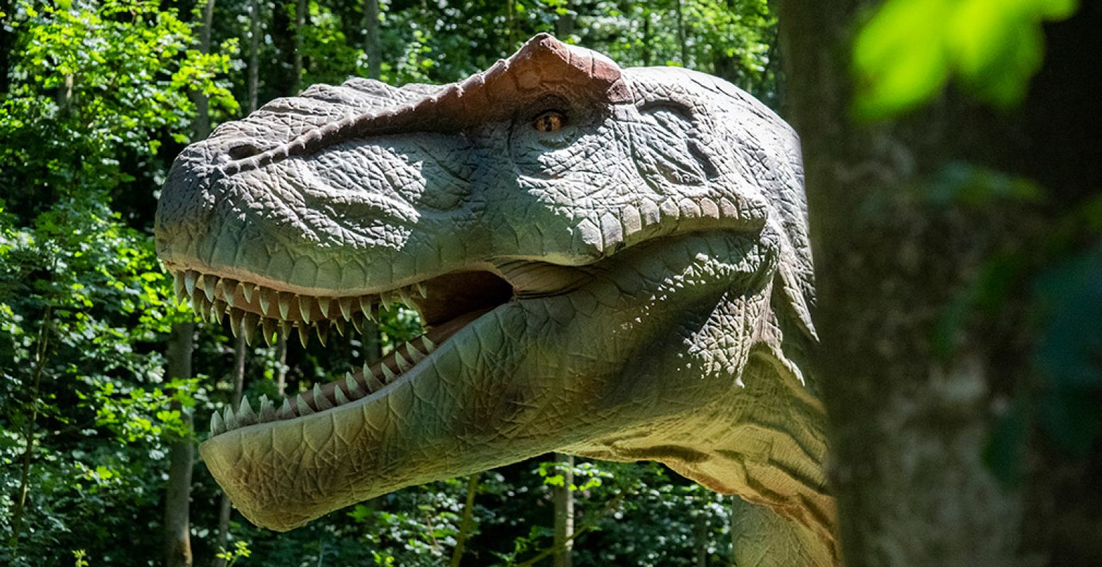 Overal in het Dinopark kun je opeens oog in oog komen te staan met een enorme dinosaurus. Foto: Dinopark Vliegveld Twente