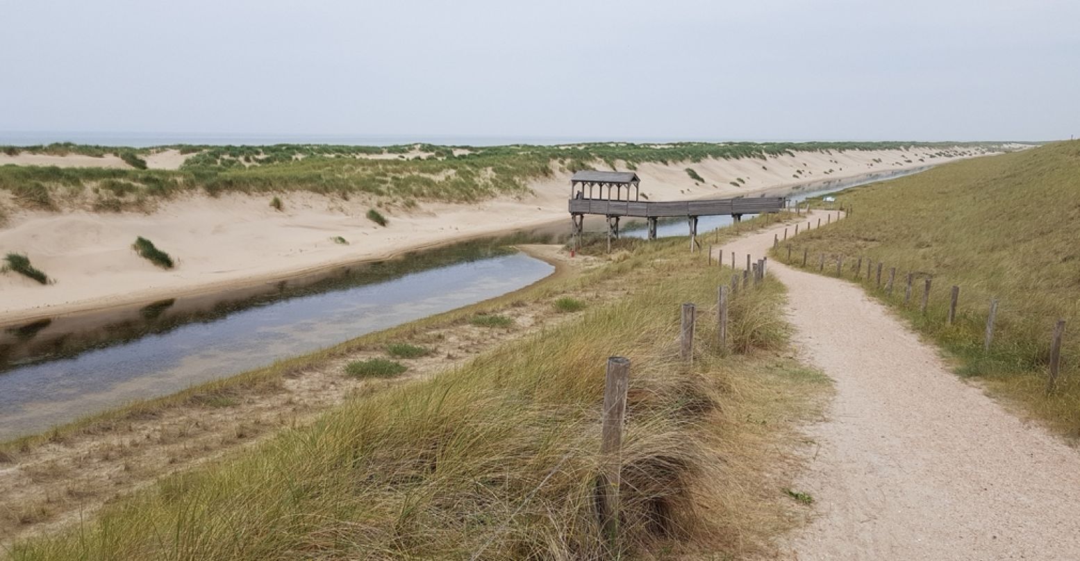 Vochtige duinvallei in de Hondsbossche duinen voor de zeedijk bij Petten. Foto: Henk Arendse