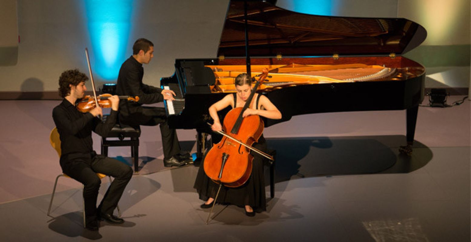 Trio Rodin in de Edesche Concertzaal.