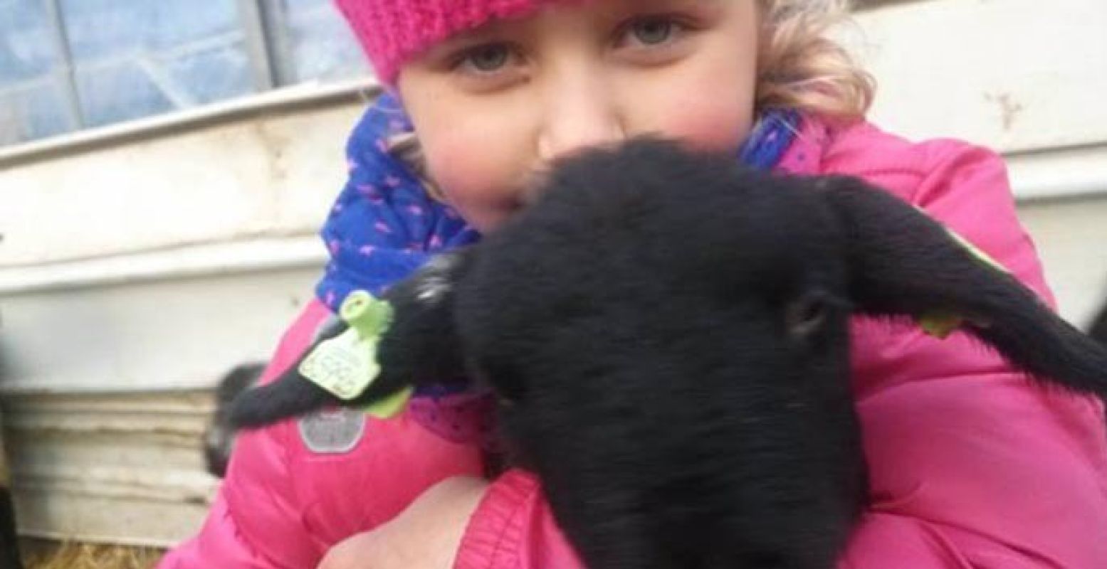 Knuffelen met kleine lammetjes. Foto: De Stad Uit