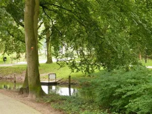 Samen op schattenjacht. Foto: Waterlijn Amersfoort