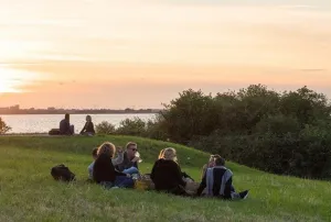 Zomerlicht Foto geüpload door gebruiker Stichting Liniebreed Ondernemen.