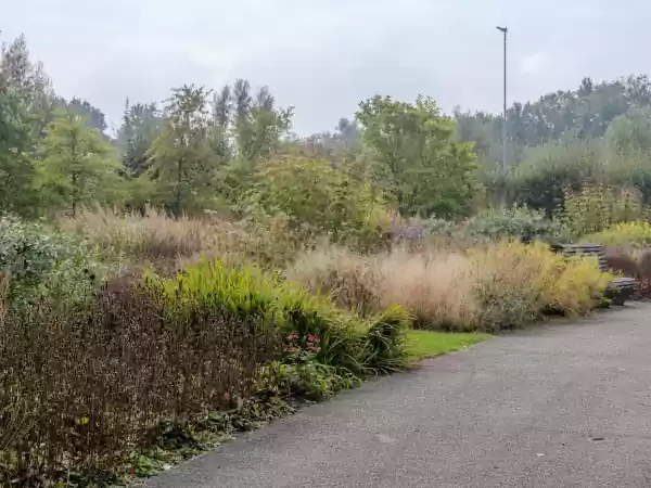 De Vlinderhof Geniet van deze prachtige tuin ontworpen door Piet Oudolf. Foto: Aad van der Tas