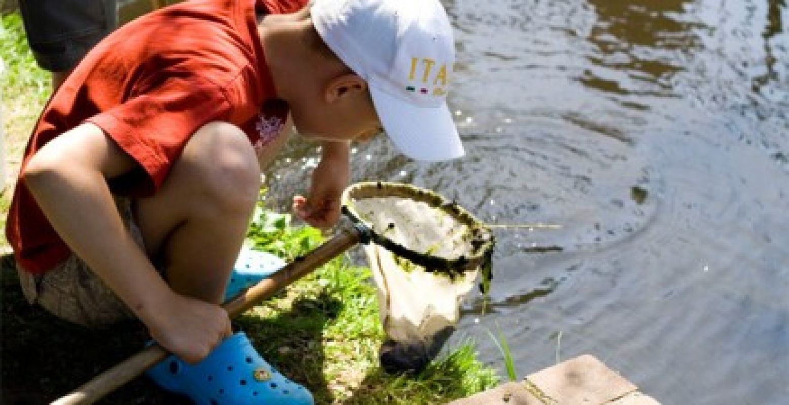 Vang de mooiste waterbeestjes bij het Watermuseum. Foto: Nederlands Watermuseum Arnhem