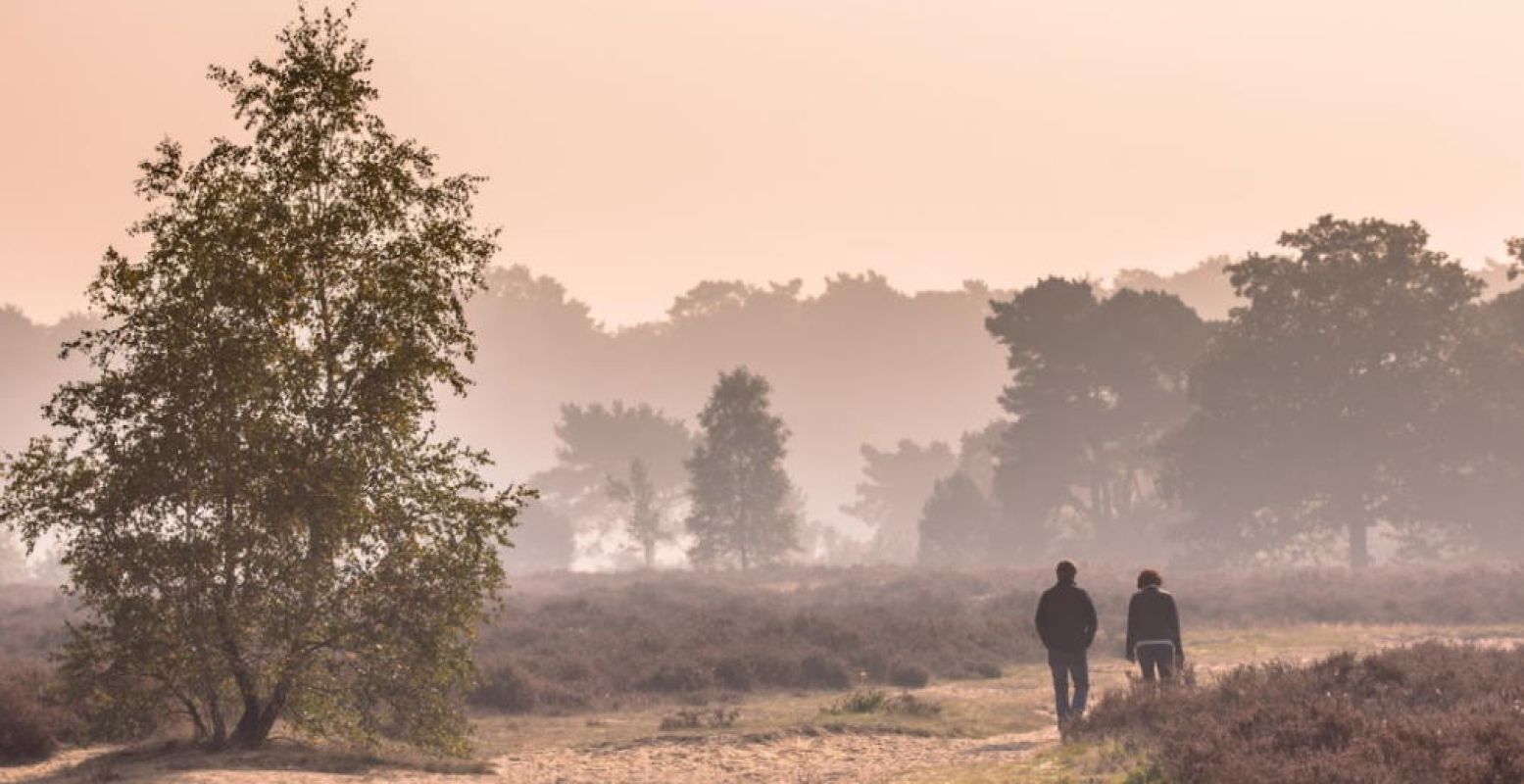 Heerlijk wandelen over de heide. Foto: Deposit Photos