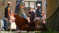 Welkom in de wereld van de biologische boer