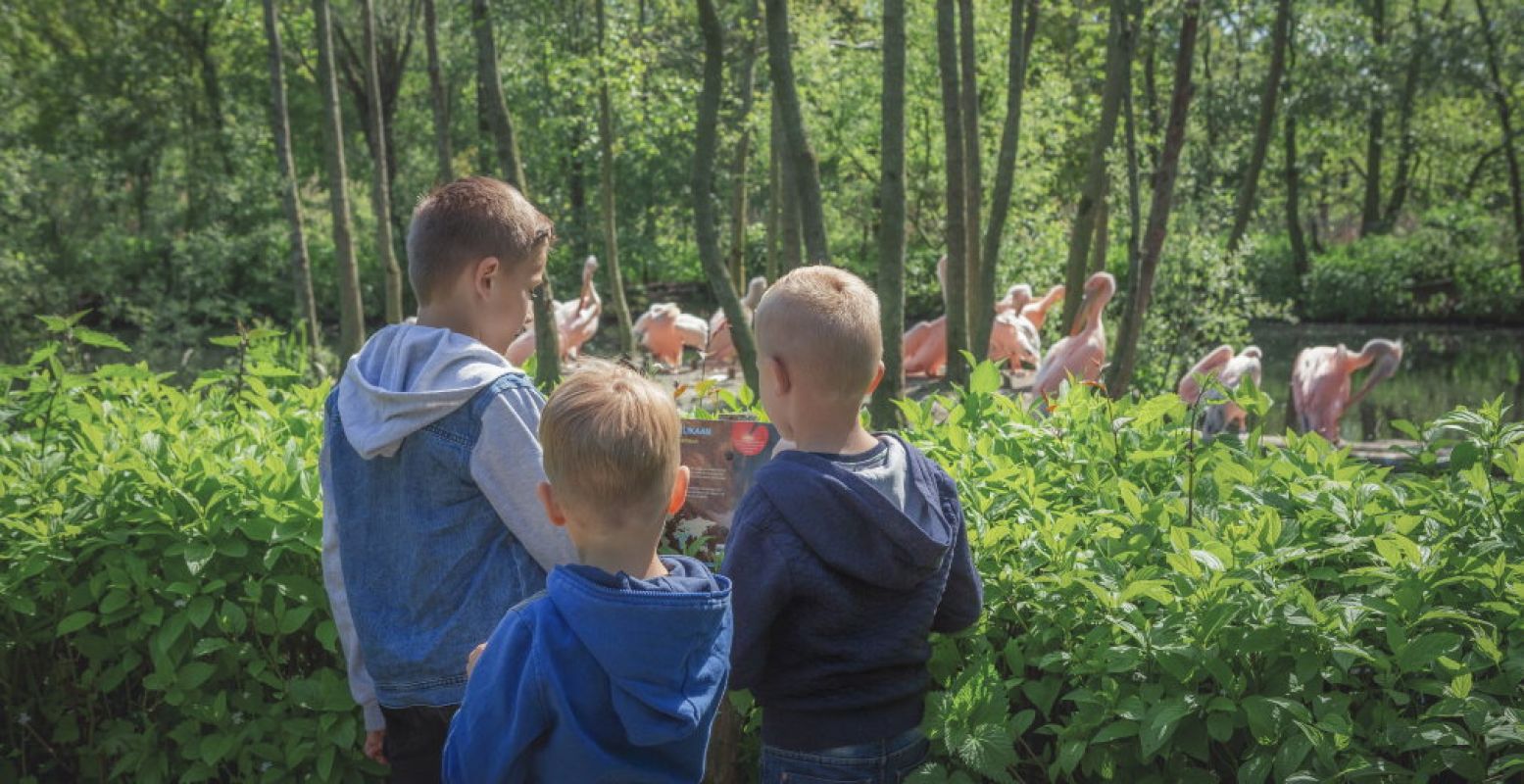 AquaZoo in Leeuwarden opent weer op 18 mei! Foto: AquaZoo