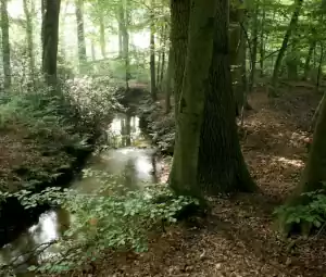 Foto geüpload door gebruiker Geldersch Landschap en Kasteelen Foto geüpload door gebruiker Geldersch Landschap en Kasteelen