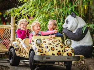 Beleef een stoere safari. Foto: Julianatoren
