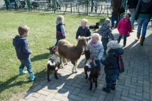 Feestelijke inspiratie voor Koninginnedag en meivakantie