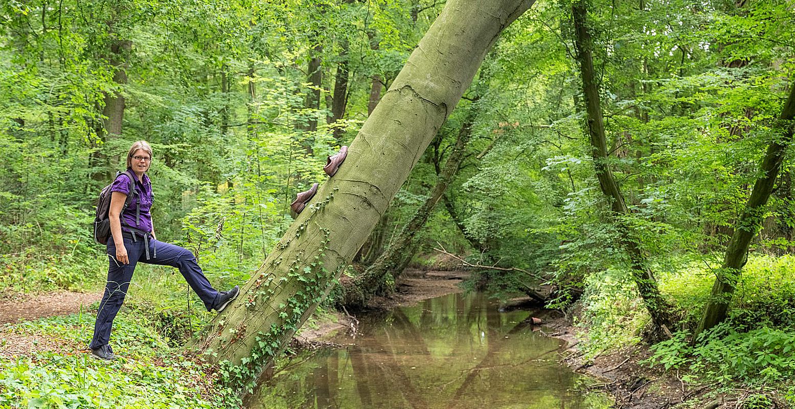 Ontdek met wandelboswachter Ellen de meer dan honderd jaar oude Gelderlandroute. Foto: Bob Luijks