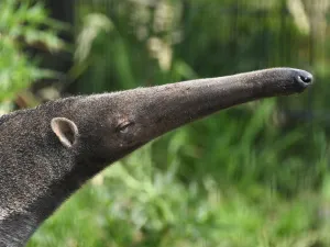 Altijd leuk: een dagje naar de dierentuin