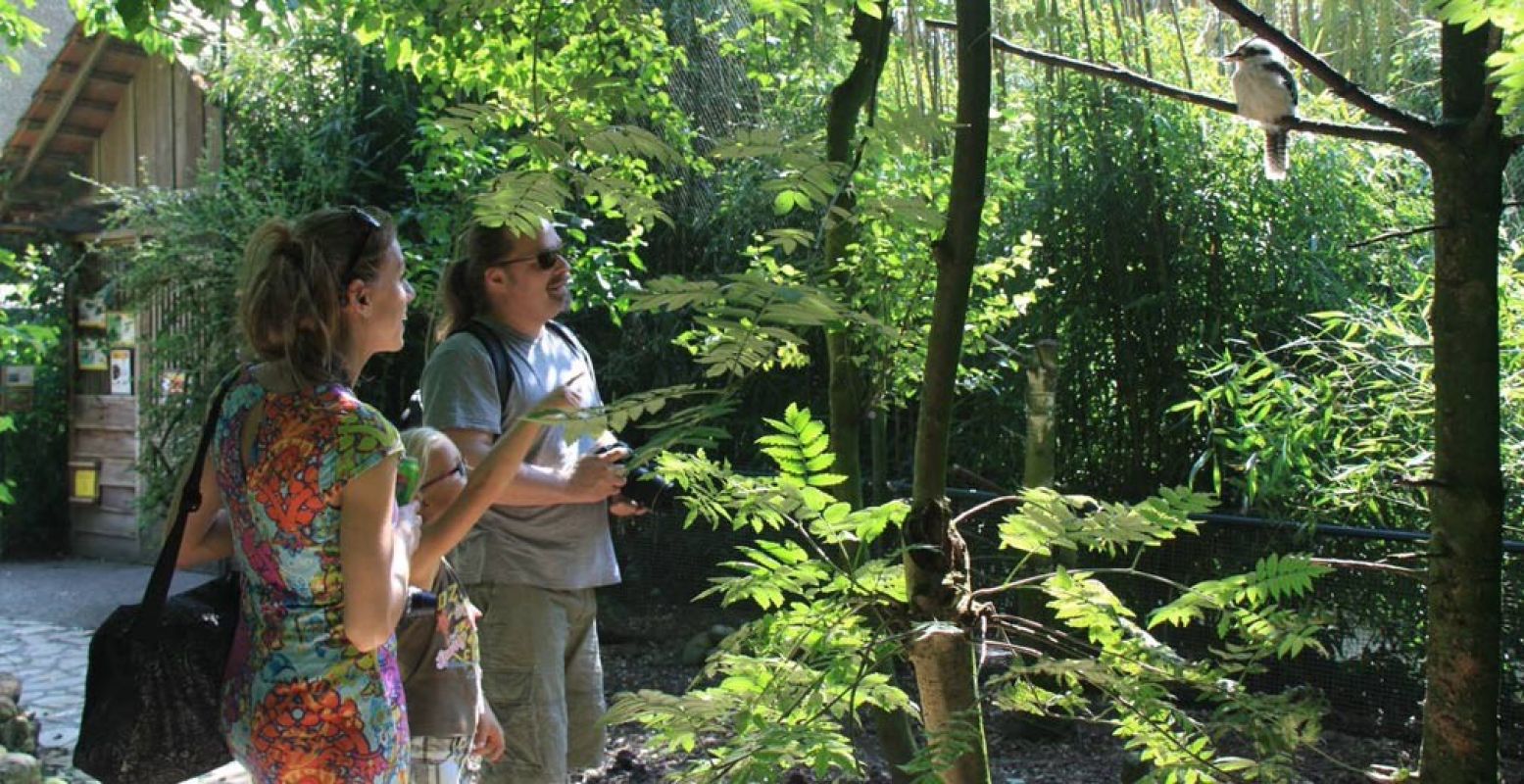 Spot exotische dieren in Taman Indonesia. Foto: Taman Indonesia