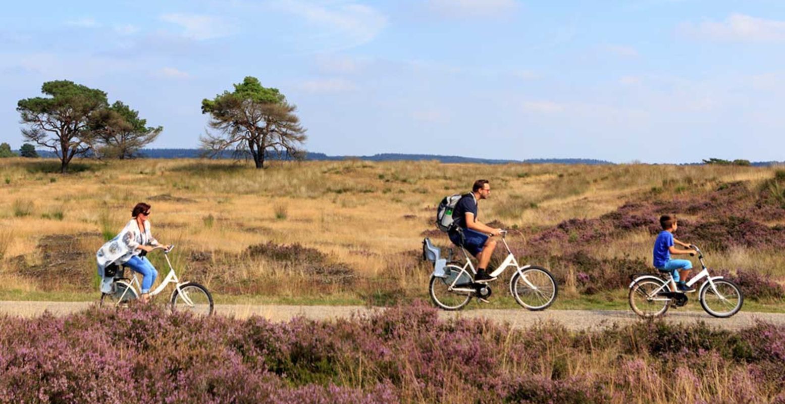 Verken het nationale park op een Witte Fiets. Foto: © Photography Jurjen Drenth