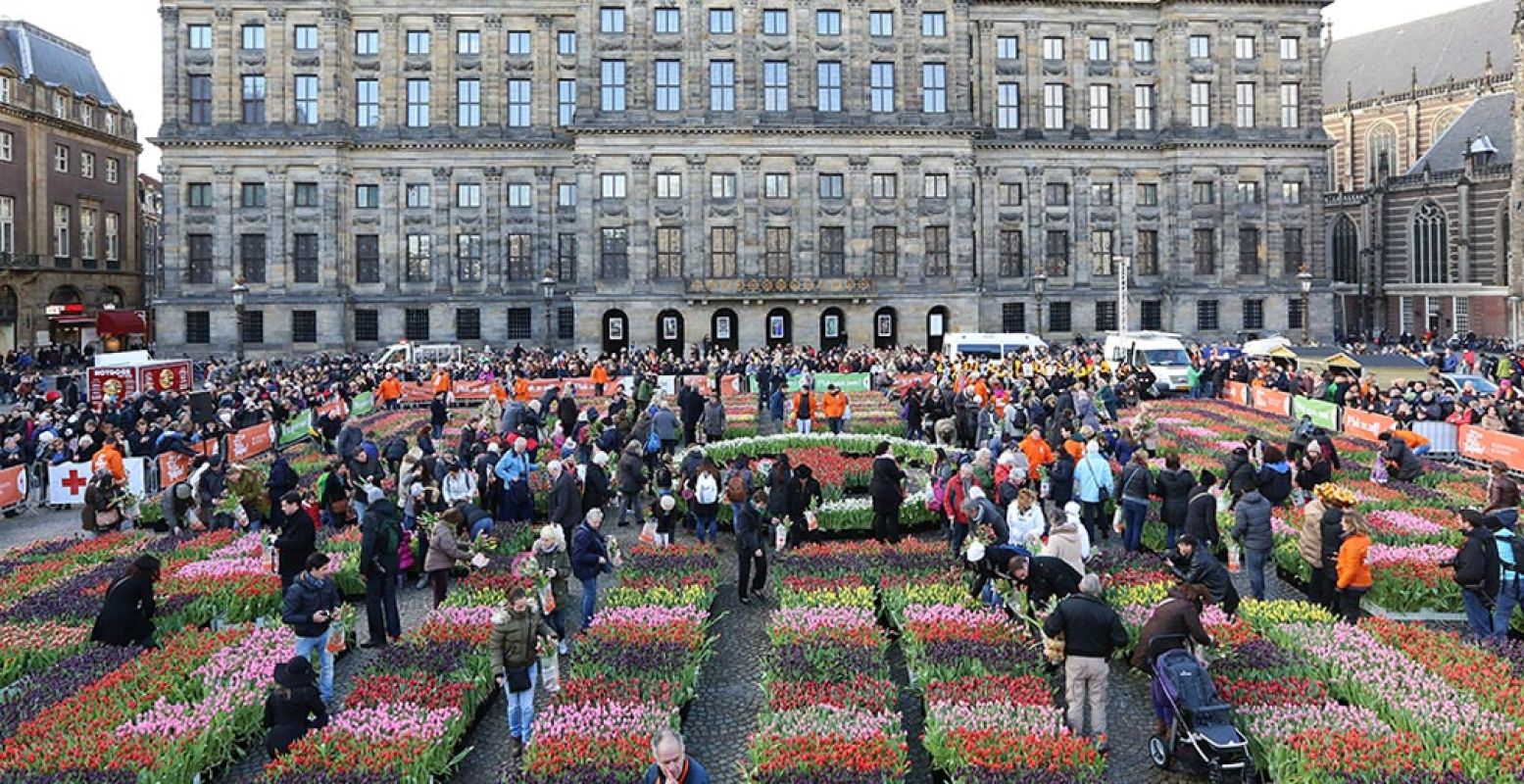 Een kleurrijke bloemenzee, pal voor de poorten van het Paleis op de Dam. Foto: Tulpentijd.nl / VidiPhoto.